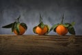 Three satsumas with leaves Royalty Free Stock Photo