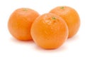 Three satsumas on white background Royalty Free Stock Photo