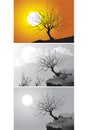 Three Scenes of tree