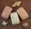 Three scented soap bars from Provence and three shells Royalty Free Stock Photo