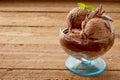 Three scoops of chocolate ice cream in bowl Royalty Free Stock Photo