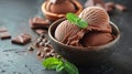 Three Scoops of Chocolate Ice Cream in a Bowl Royalty Free Stock Photo