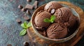 Three Scoops of Chocolate Ice Cream in a Bowl Royalty Free Stock Photo