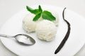 Three scoops of ice cream with mint and a vanilla bean on a white plate, white background Royalty Free Stock Photo