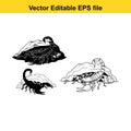 Three scorpions, two black and one white outline, on a white background, vector editable eps file Royalty Free Stock Photo