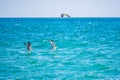 Three sea gulls fly over the water Royalty Free Stock Photo