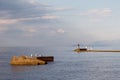 Three seagulls and three fishermen on the sea background