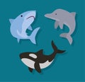 three sealife animals icons Royalty Free Stock Photo