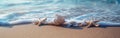 Three Seashells Resting on Sandy Beach Royalty Free Stock Photo