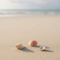 Three seashells rest on a smooth sandy beach with gentle sunlight casting soft shadows. The shells Royalty Free Stock Photo