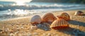 Three Seashells Resting on Sandy Beach Royalty Free Stock Photo