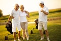Three senior golfers talking Royalty Free Stock Photo