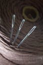 Three sewing needles are inserted into a spool of thread. close-up. Royalty Free Stock Photo