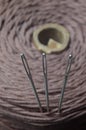Three sewing needles are inserted into a spool of thread. close-up Royalty Free Stock Photo