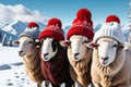 Three Sheep Clad in Cozy Red Knitted Beanies, Positioned Amidst a Pristine Snow Cove