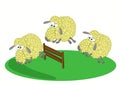 Three sheep jumping over a fence