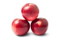 Three shiny red autumn apples Royalty Free Stock Photo