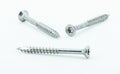 Three shiny stainless steel wood screws Royalty Free Stock Photo