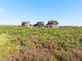 The Three Ships gritstone outcrop on Birchen Edge, Derbyshire Royalty Free Stock Photo