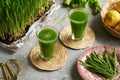 Fresh green barley grass juice in two glasses Royalty Free Stock Photo