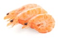 Three shrimps