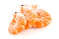 Three shrimps Royalty Free Stock Photo