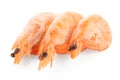 Three shrimps Royalty Free Stock Photo