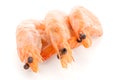 Three shrimps Royalty Free Stock Photo