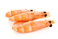 Three shrimps Royalty Free Stock Photo
