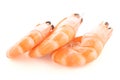 Three shrimps Royalty Free Stock Photo