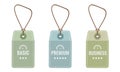 Three simple tag badges with basic, business and premium degrees for three columns infographic template. Vector