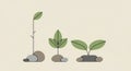 Three simplistic plant illustrations are shown against a beige background, each Royalty Free Stock Photo