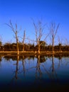 Three Sisters