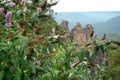 The Three Sisters From Echo Point, Blue Mountains National Park, NSW, Australia. Royalty Free Stock Photo