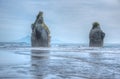 Three Sisters and the Elephant Rock in New Zealand Royalty Free Stock Photo