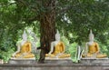 Three Sitting budda statue Royalty Free Stock Photo