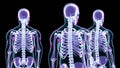 Three skeletons standing and moving normally isolated on black background, scan