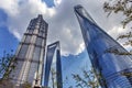 Three Skyscrapers Trees Liujiashui Shanghai China Royalty Free Stock Photo