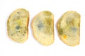 Three slices of bread covered with mold isolated on a white background Royalty Free Stock Photo