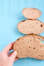 Three slices bread. Unusual tree. Blue background Royalty Free Stock Photo