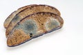 Three slices of rye bread with white and black mold Royalty Free Stock Photo