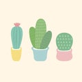Three small cacti vector isolated Royalty Free Stock Photo