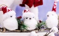 Three small cute white birds toys in red knitted hats with white fur on tree branch twitting. Christmas decoration Royalty Free Stock Photo
