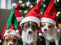 Three Small Dogs Wearing Santa Hats. Generative AI
