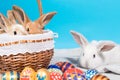 Three small Easter bunny in a basket on a blue background with decorated eggs. With a place to text and copy space for a long Royalty Free Stock Photo