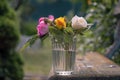 Three small garden roses stand in a glass of water Royalty Free Stock Photo