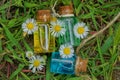 Three small glass bottles with oil among white daisies lie on green grass Royalty Free Stock Photo