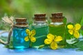 Three small glass vials with oil with yellow flowers and green leaves of the celandine