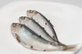 Three small herrings on the plate
