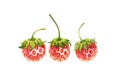 Three small isolated watercolor strawberries